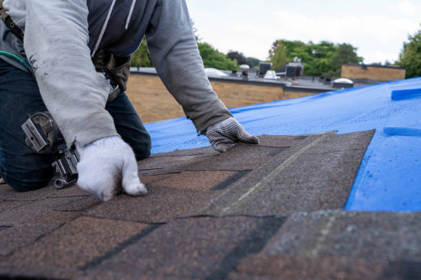 Best Roof Leak Repair  in Marion, IN