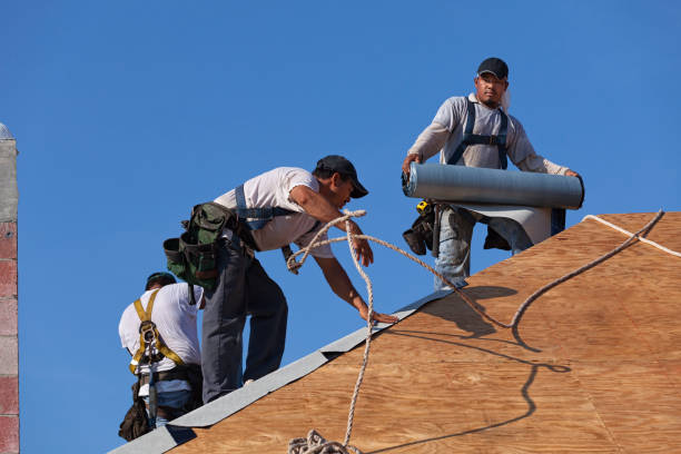Roof Gutter Cleaning in Marion, IN