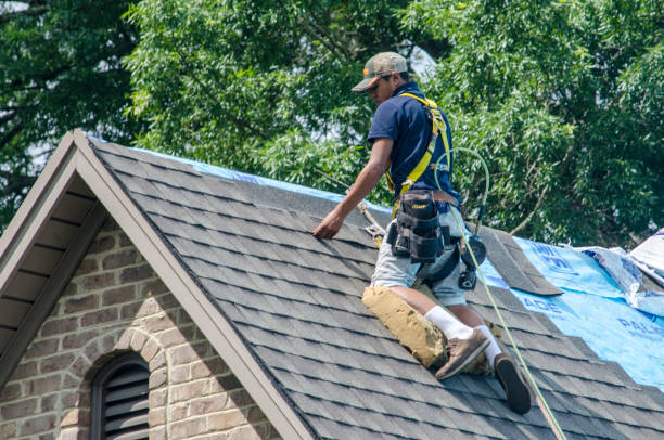 Best Roof Repair Services  in Marion, IN